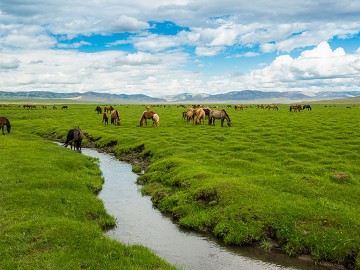 Adventurous Western Mongolia Tour